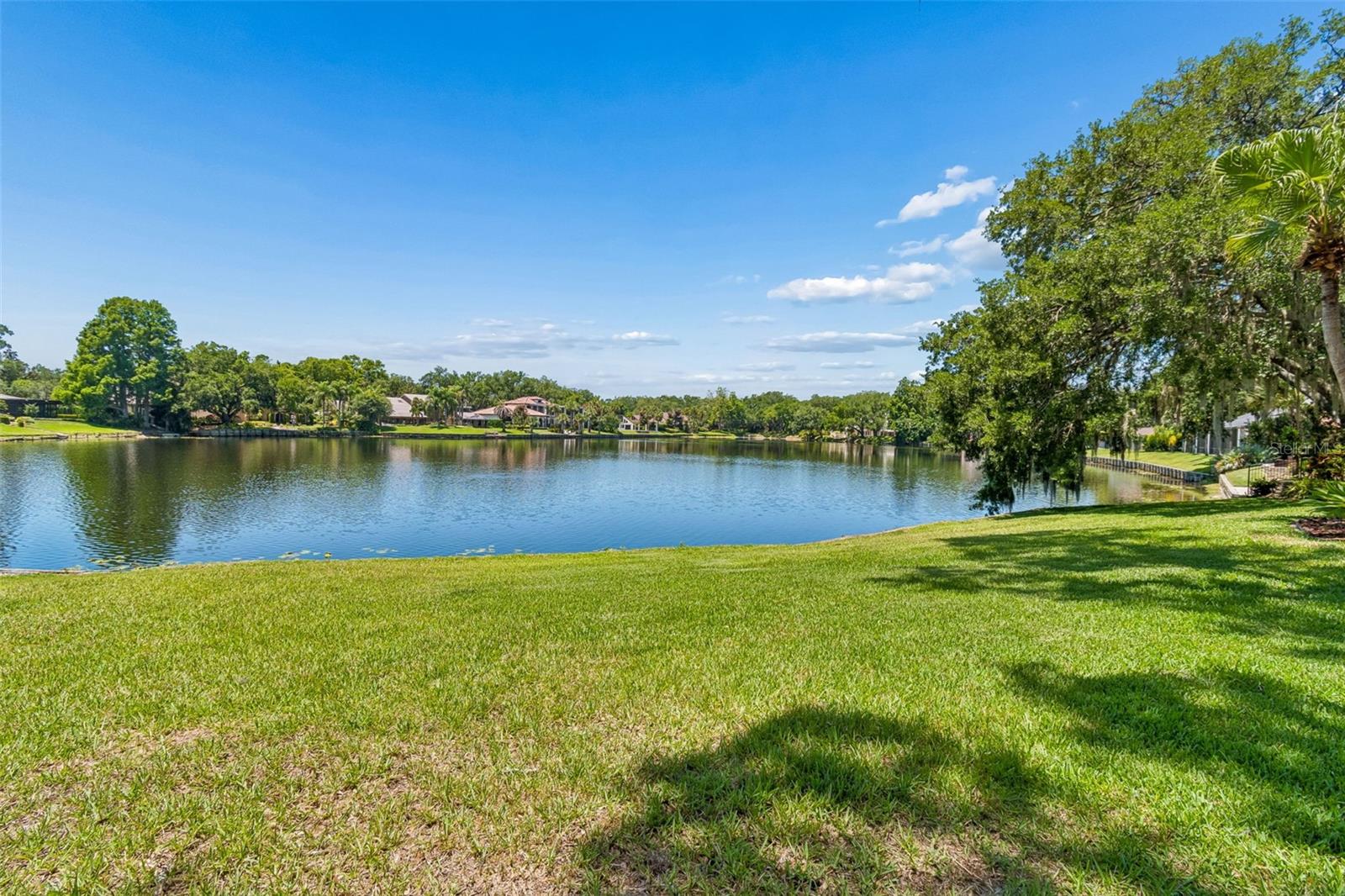 816 TARAY DE AVILA, TAMPA, FL, 33613