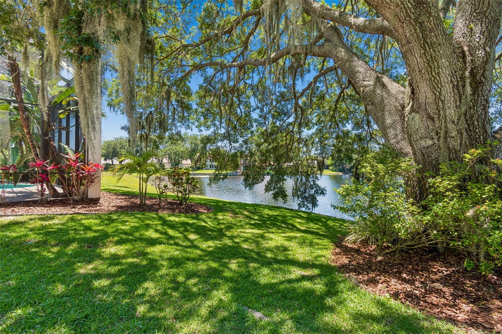816 TARAY DE AVILA, TAMPA, FL, 33613