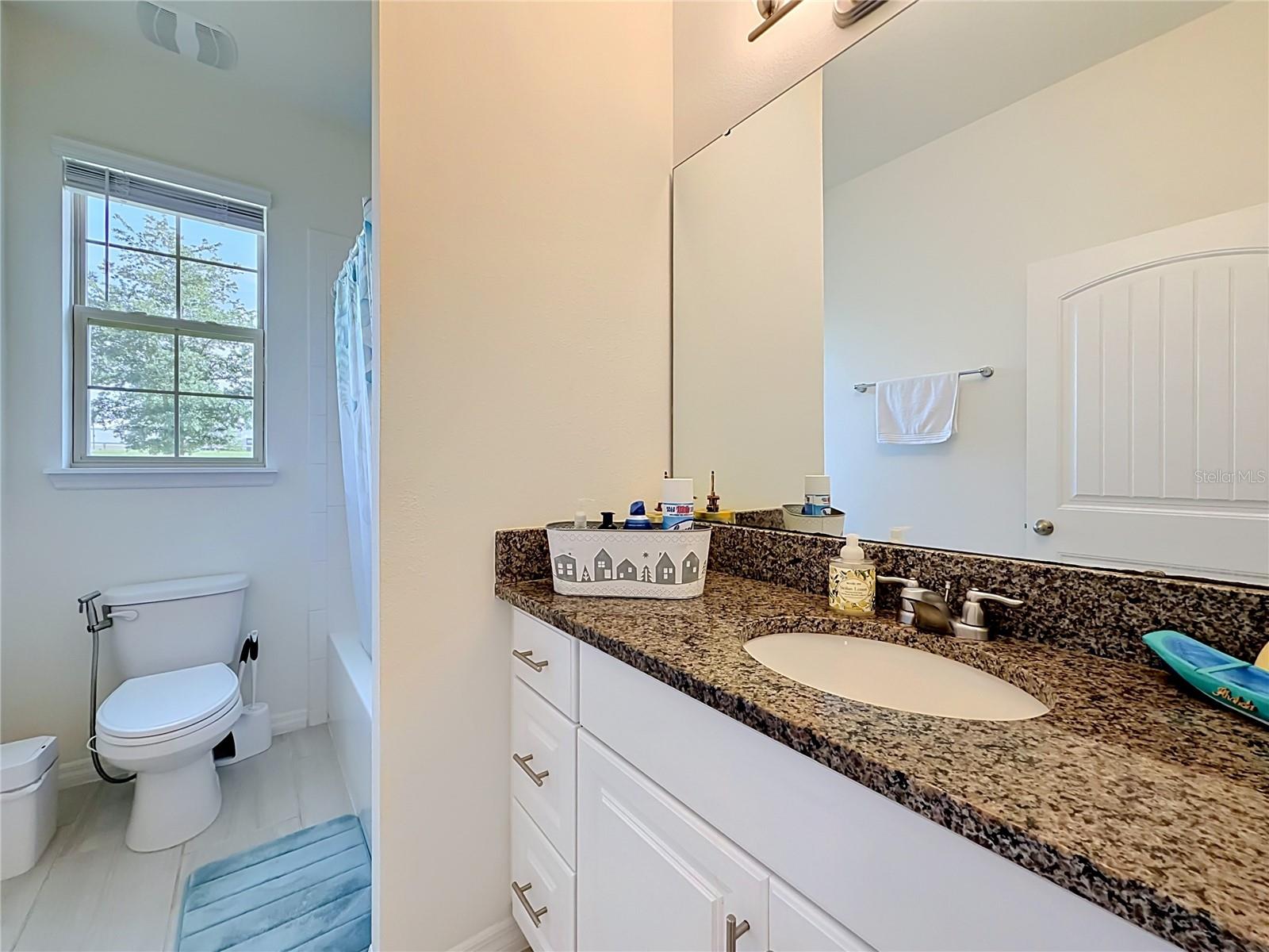 11117 BOSTWICK ALY, WINTER GARDEN, FL, 34787