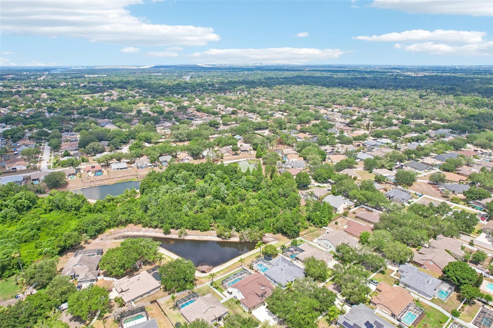 9607 BIRNAMWOOD ST, RIVERVIEW, FL, 33569