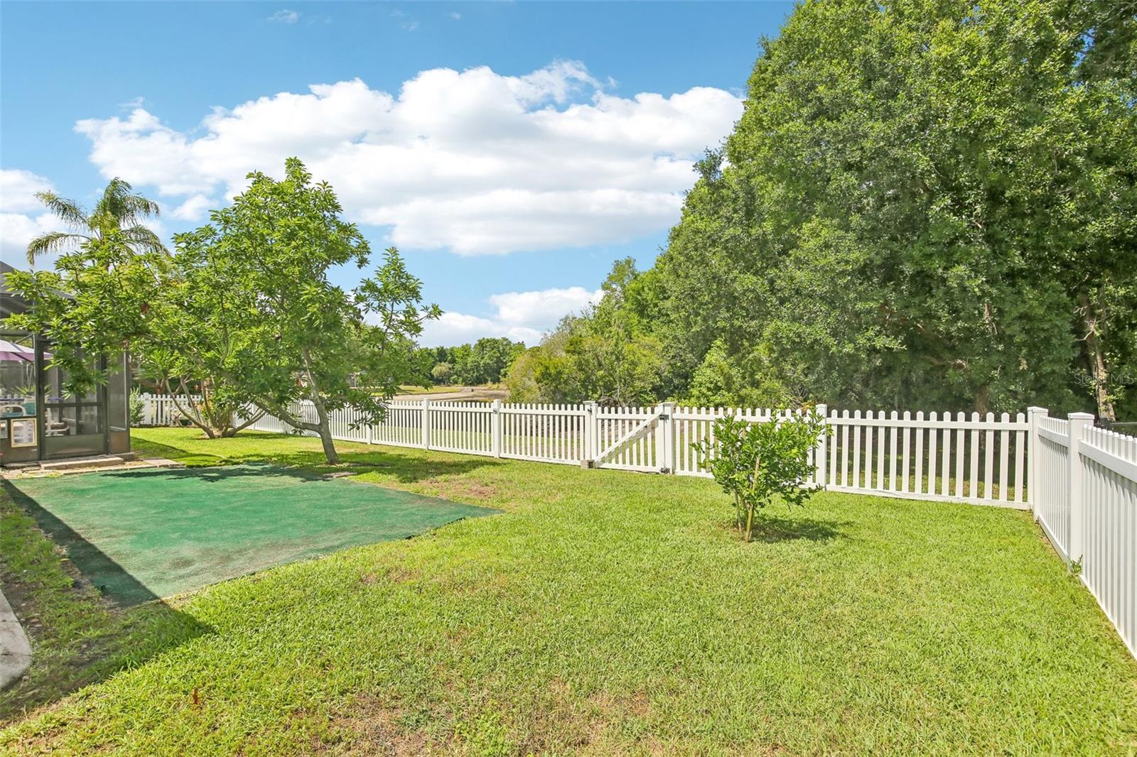 9607 BIRNAMWOOD ST, RIVERVIEW, FL, 33569