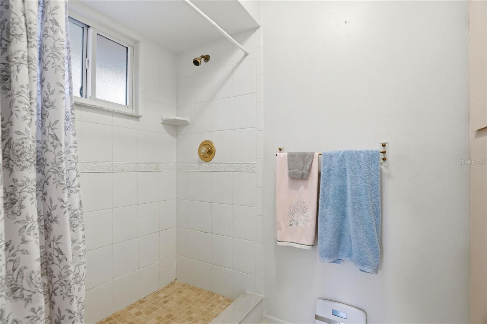 110 GEORGIA AVE. AVE, CRYSTAL BEACH, FL, 34681