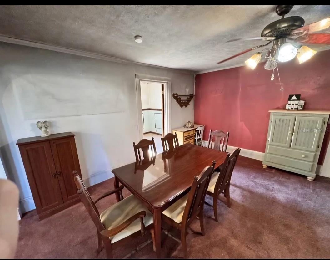 331 CLARK ST, STARKE, FL, 32091