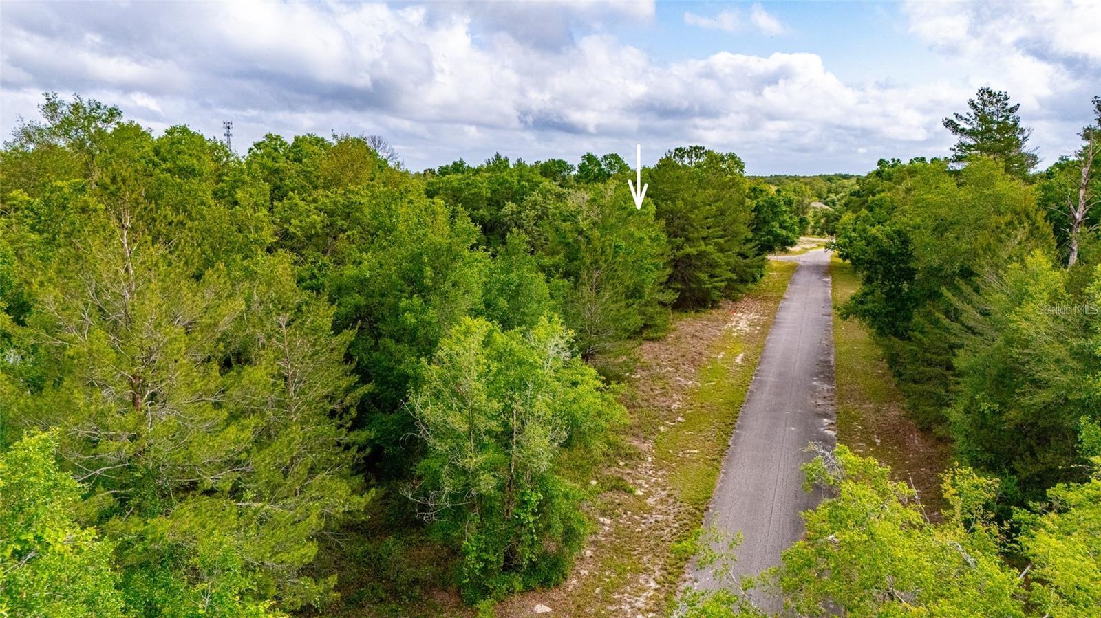 MAGNOLIA DR, OCKLAWAHA, FL, 32179