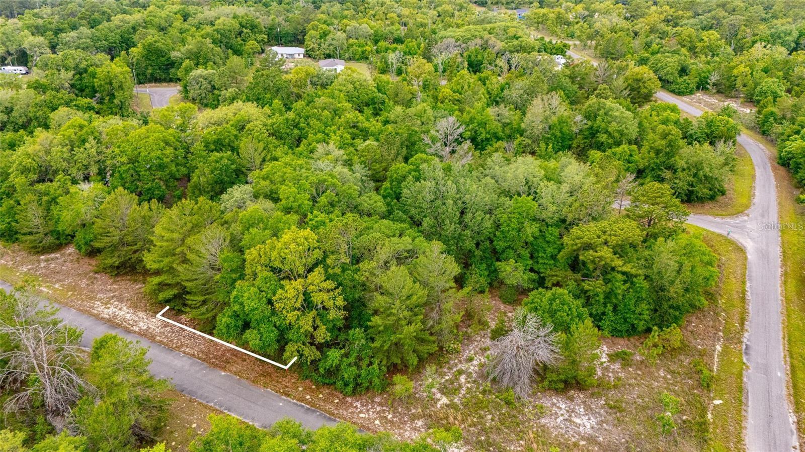 MAGNOLIA DR, OCKLAWAHA, FL, 32179