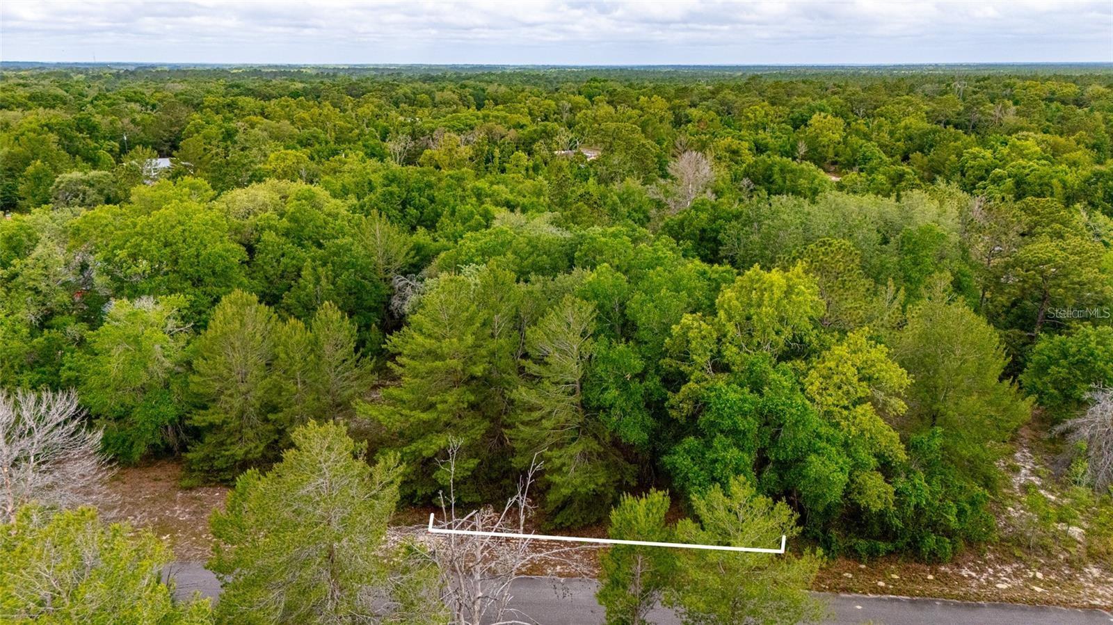 MAGNOLIA DR, OCKLAWAHA, FL, 32179
