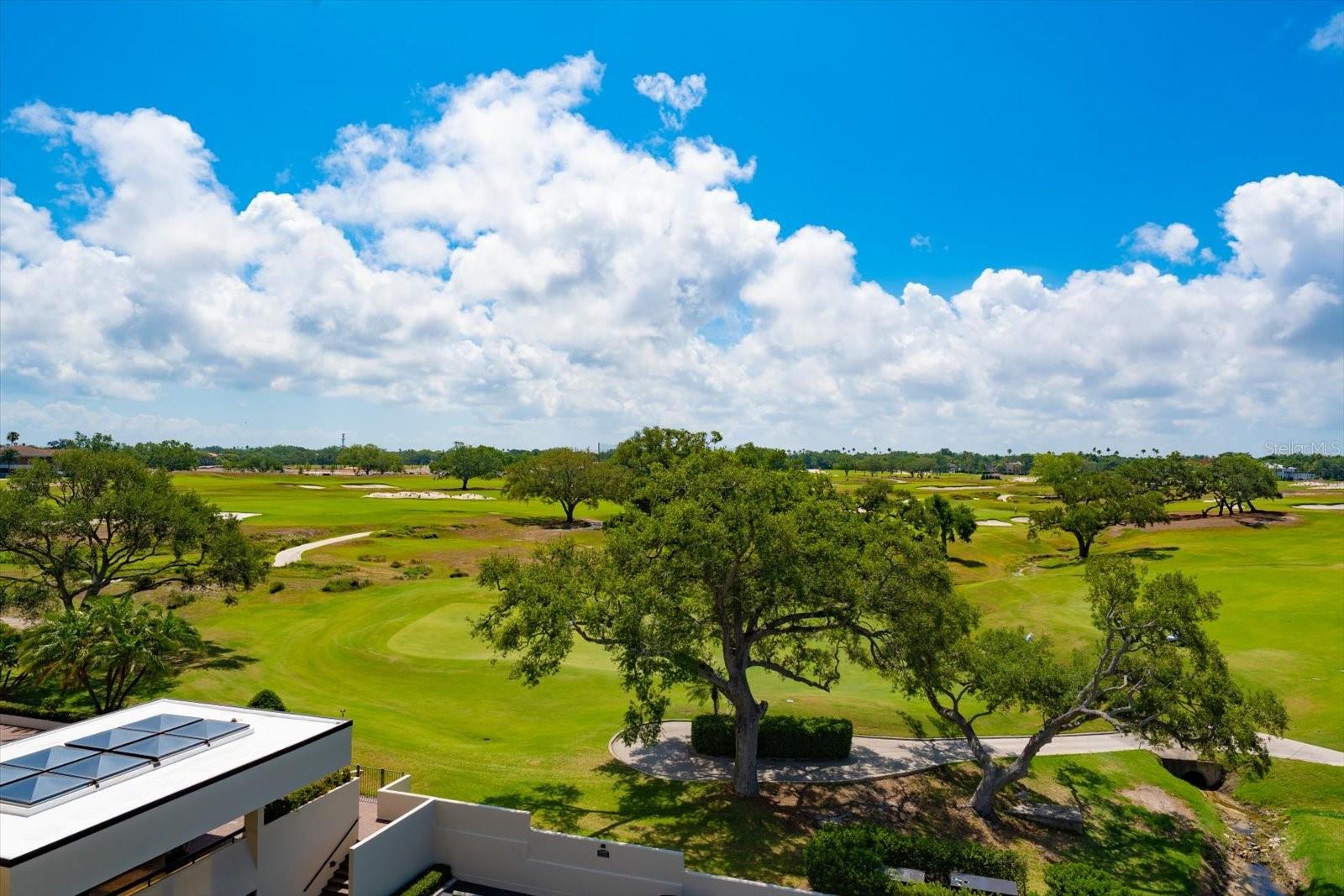 4 BELLEVIEW BLVD #503, BELLEAIR, FL, 33756