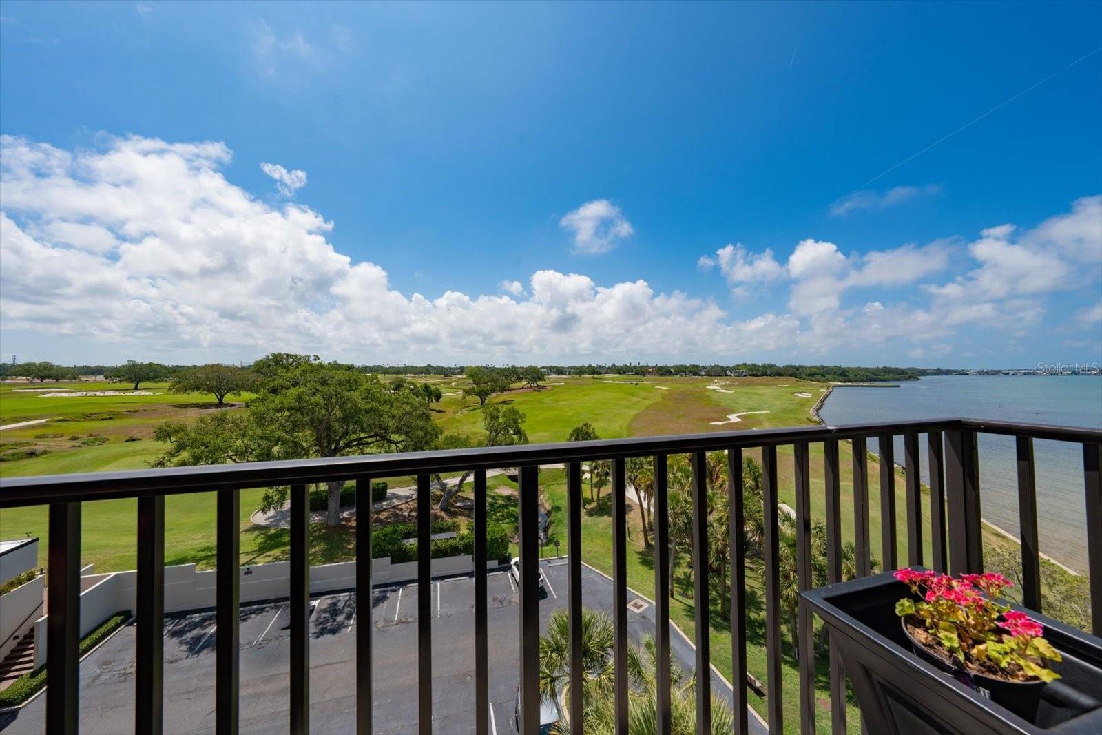 4 BELLEVIEW BLVD #503, BELLEAIR, FL, 33756
