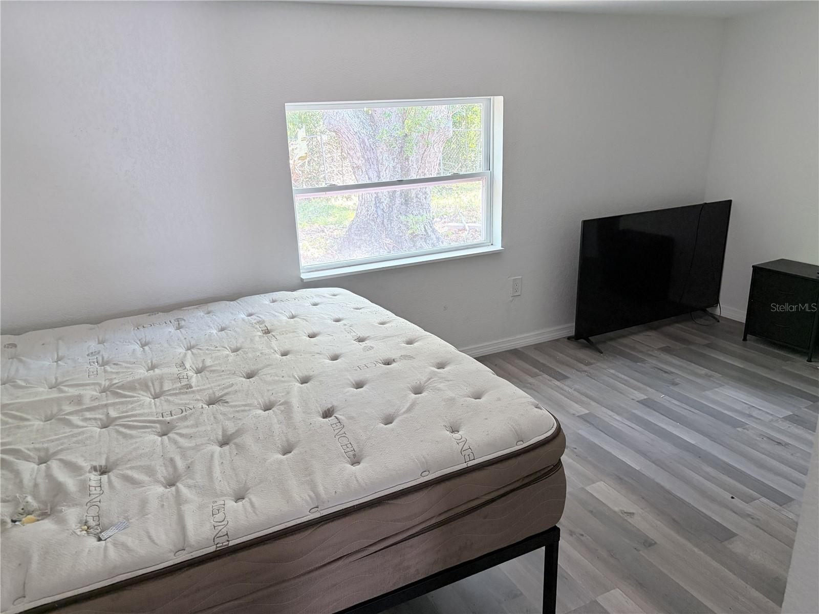 3818 MOOG RD, HOLIDAY, FL, 34691