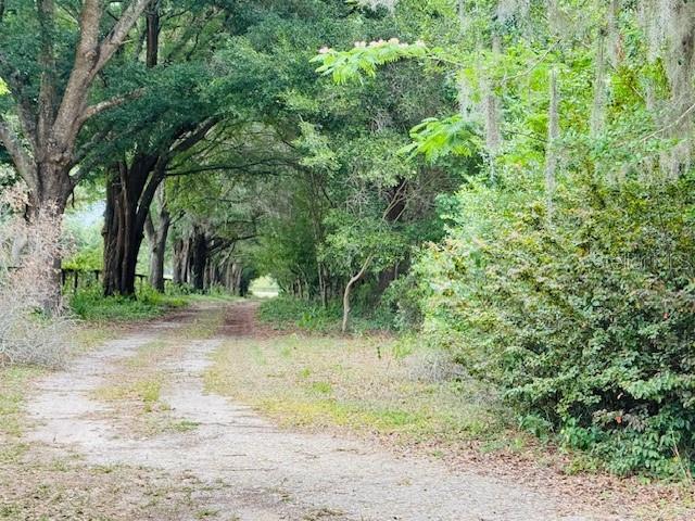 12470 SW 16TH AVE, OCALA, FL, 34473