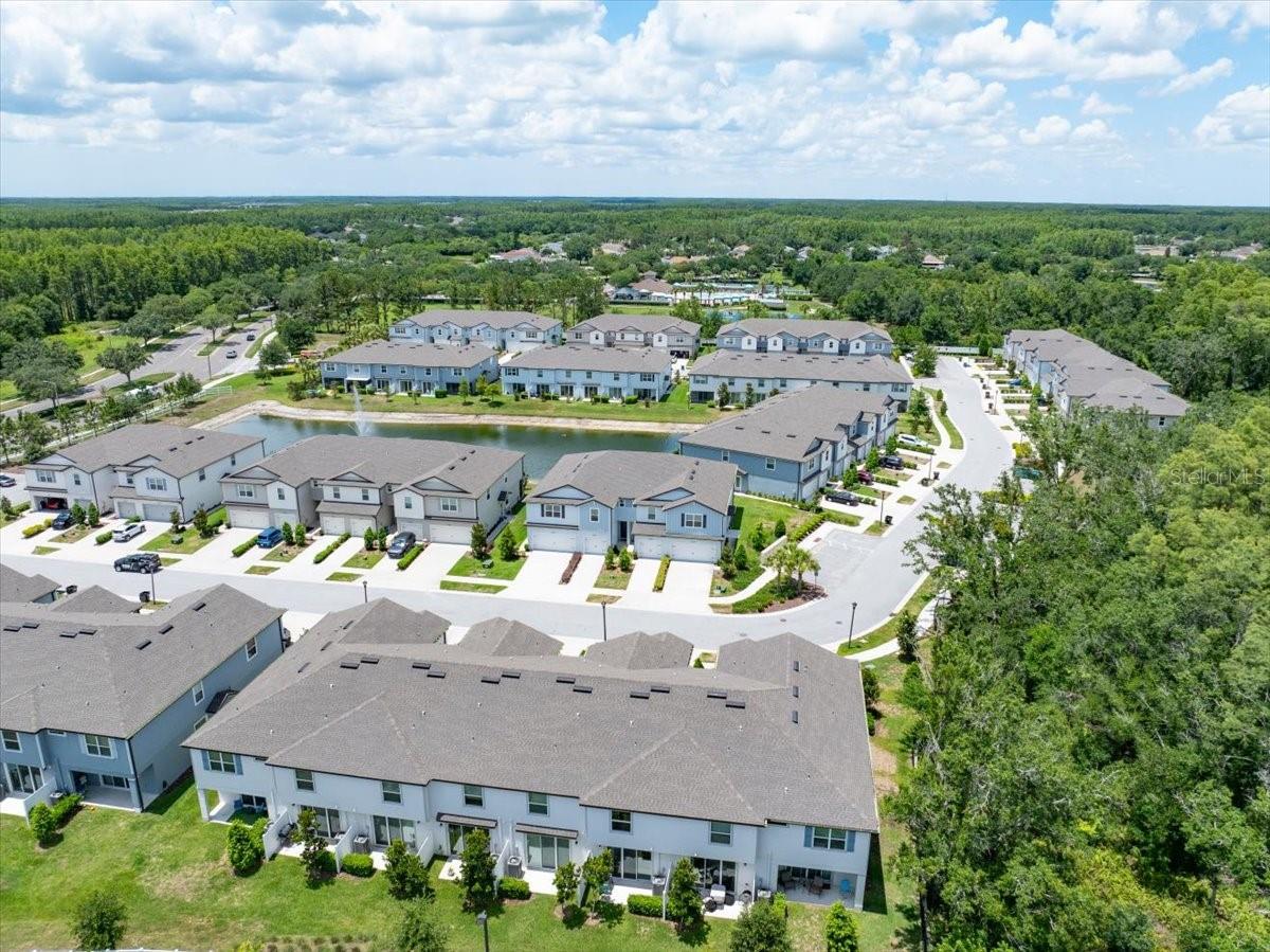 2906 DEER PINE TRL, LAND O LAKES, FL, 34638