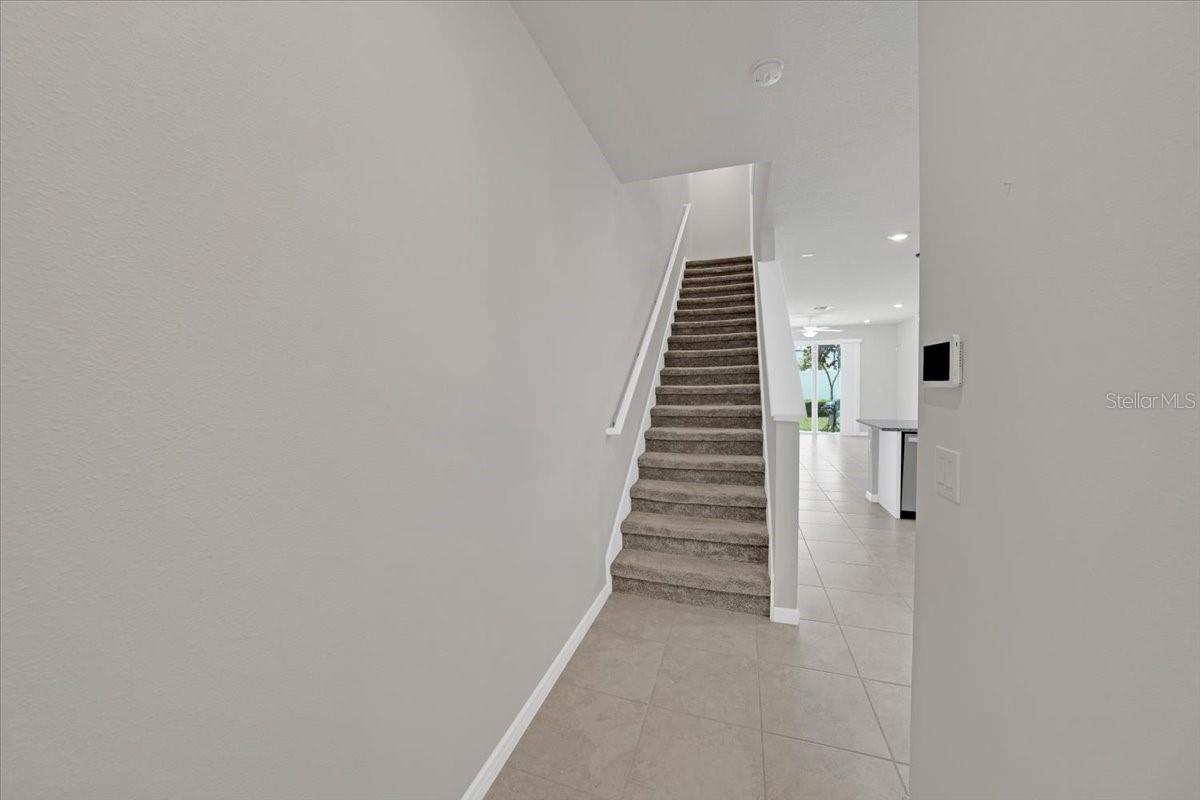 2906 DEER PINE TRL, LAND O LAKES, FL, 34638