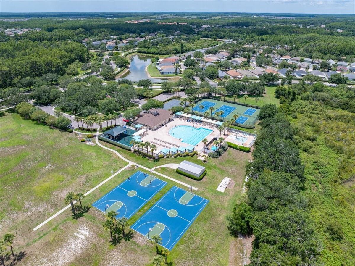 2906 DEER PINE TRL, LAND O LAKES, FL, 34638