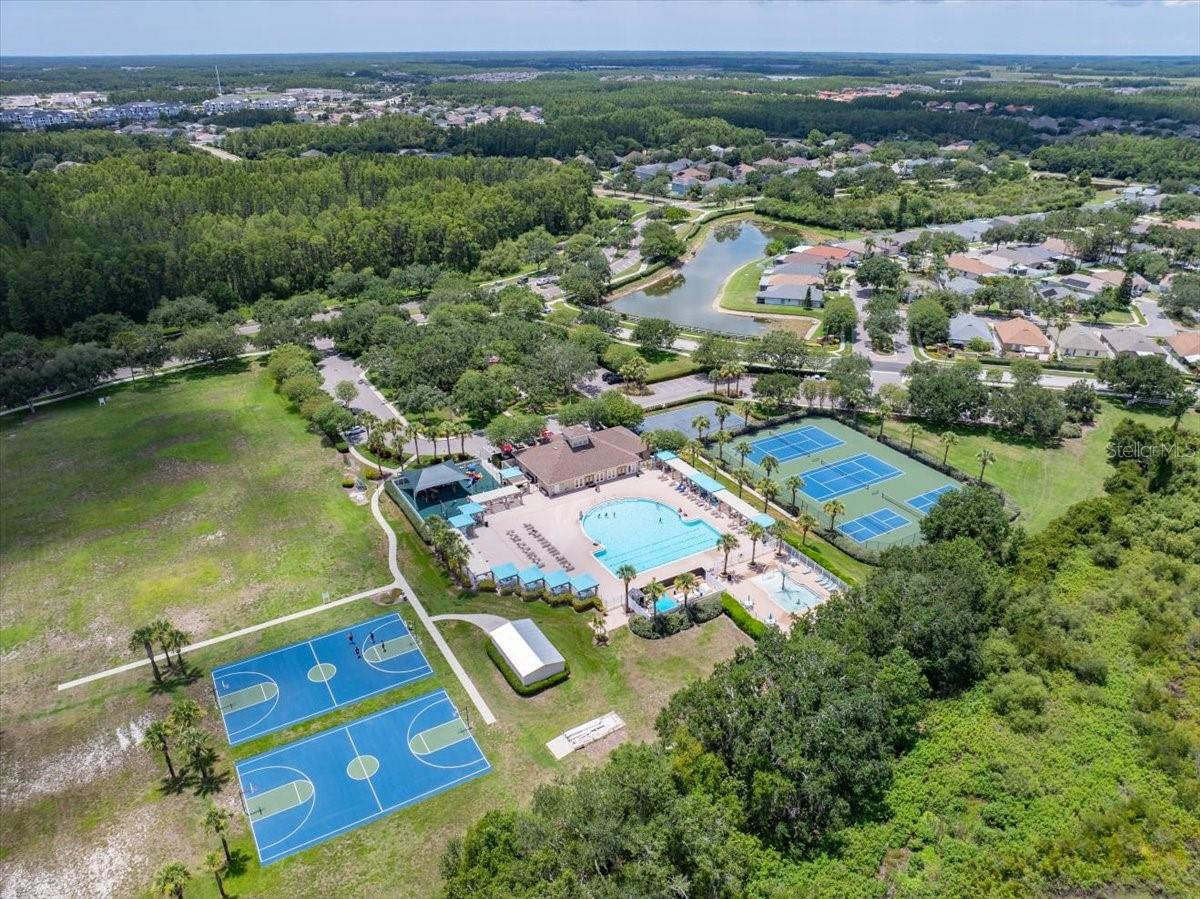 2906 DEER PINE TRL, LAND O LAKES, FL, 34638