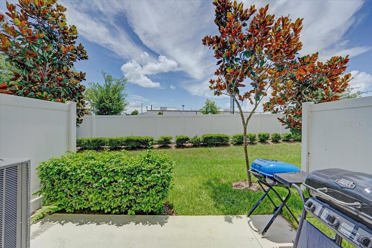 2906 DEER PINE TRL, LAND O LAKES, FL, 34638