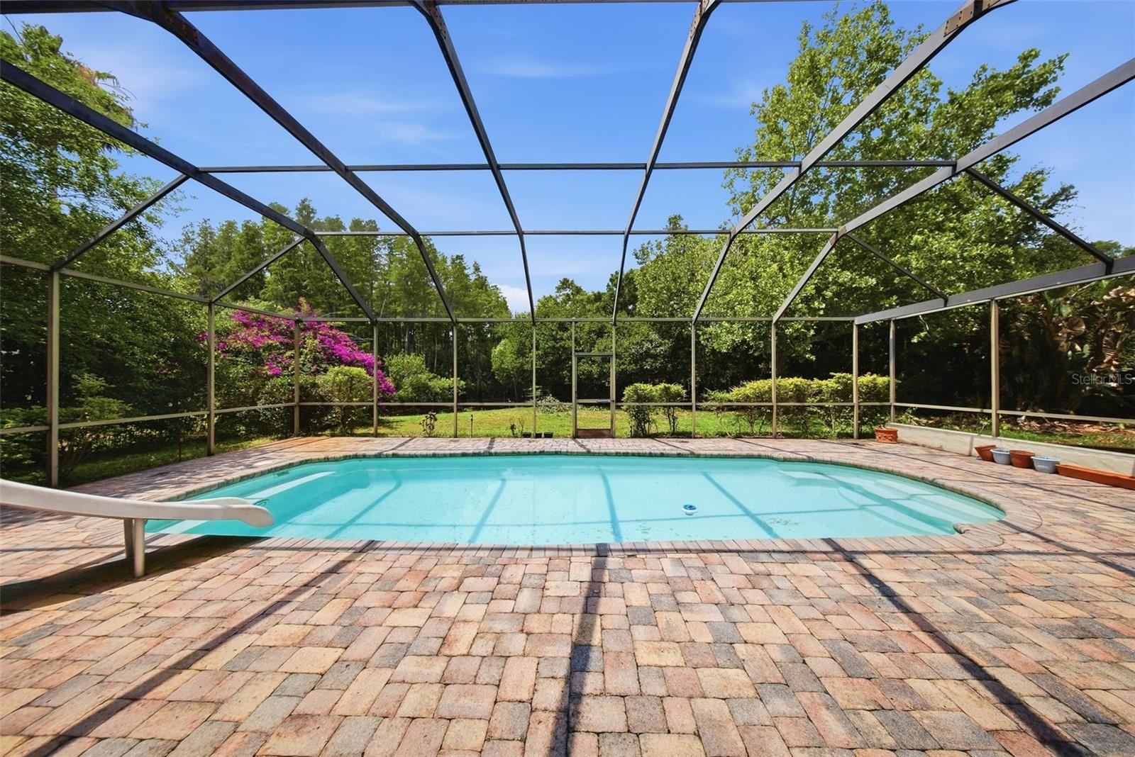 1135 WISPER RUN CT, LUTZ, FL, 33558
