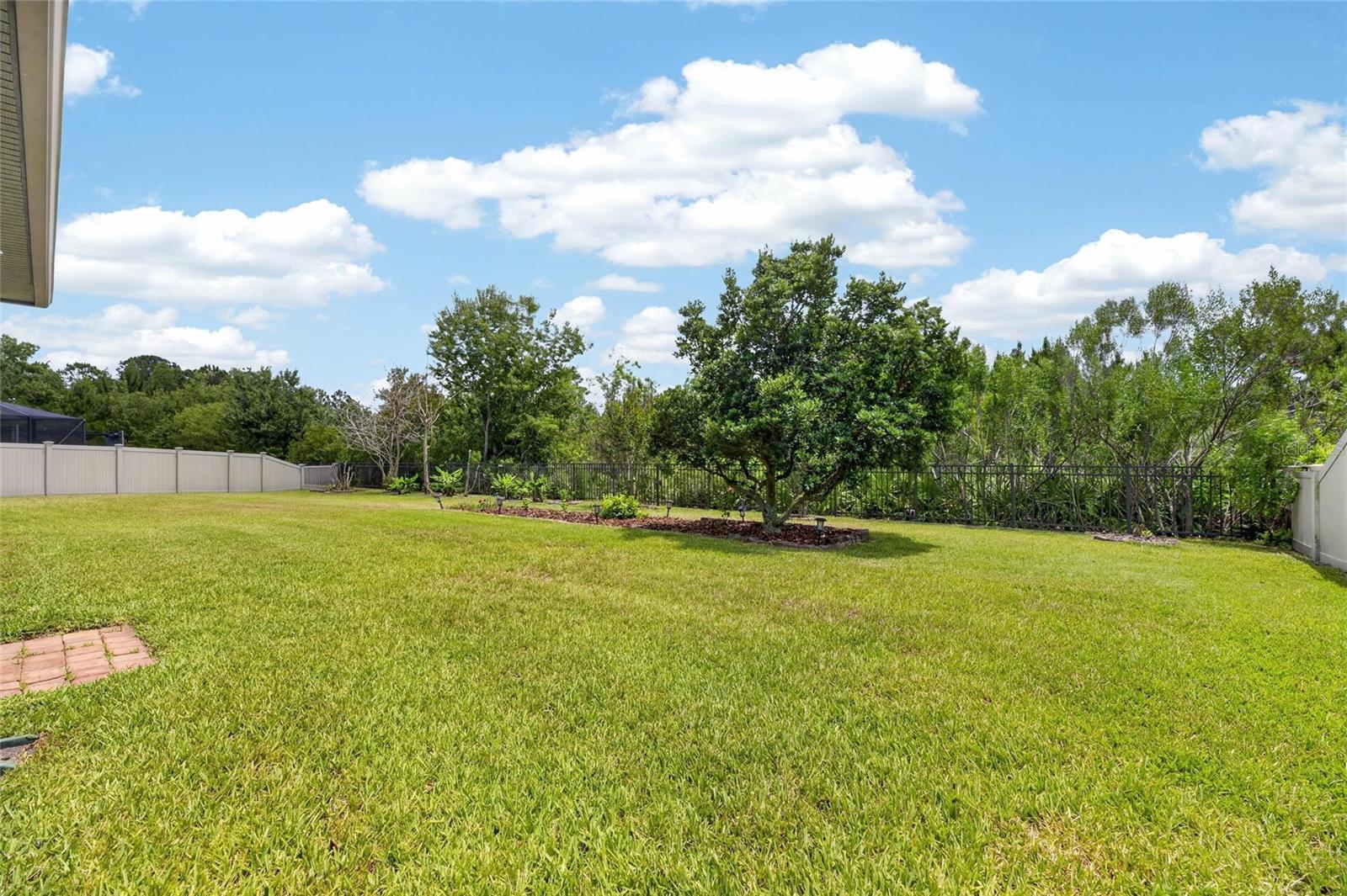 2905 HILLIARD DR, WESLEY CHAPEL, FL, 33543