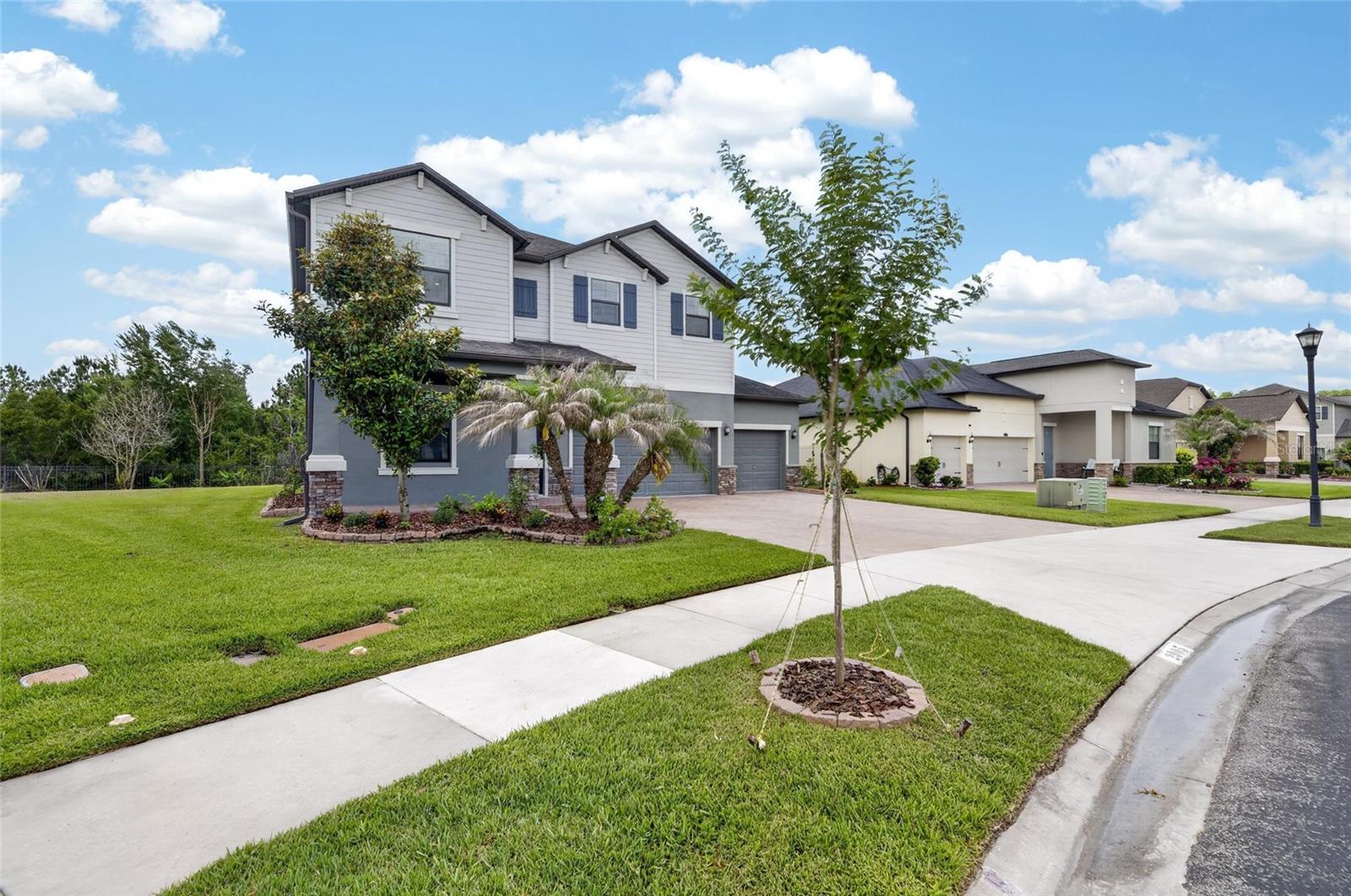 2905 HILLIARD DR, WESLEY CHAPEL, FL, 33543