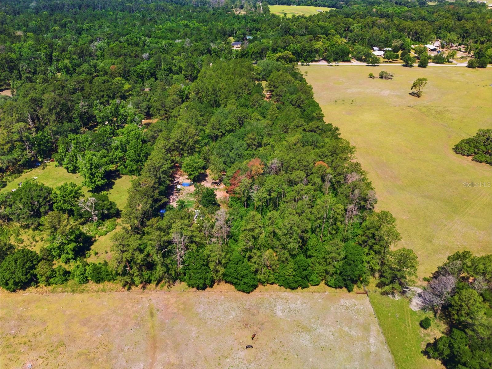 1074 CULBREATH RD, BROOKSVILLE, FL, 34602