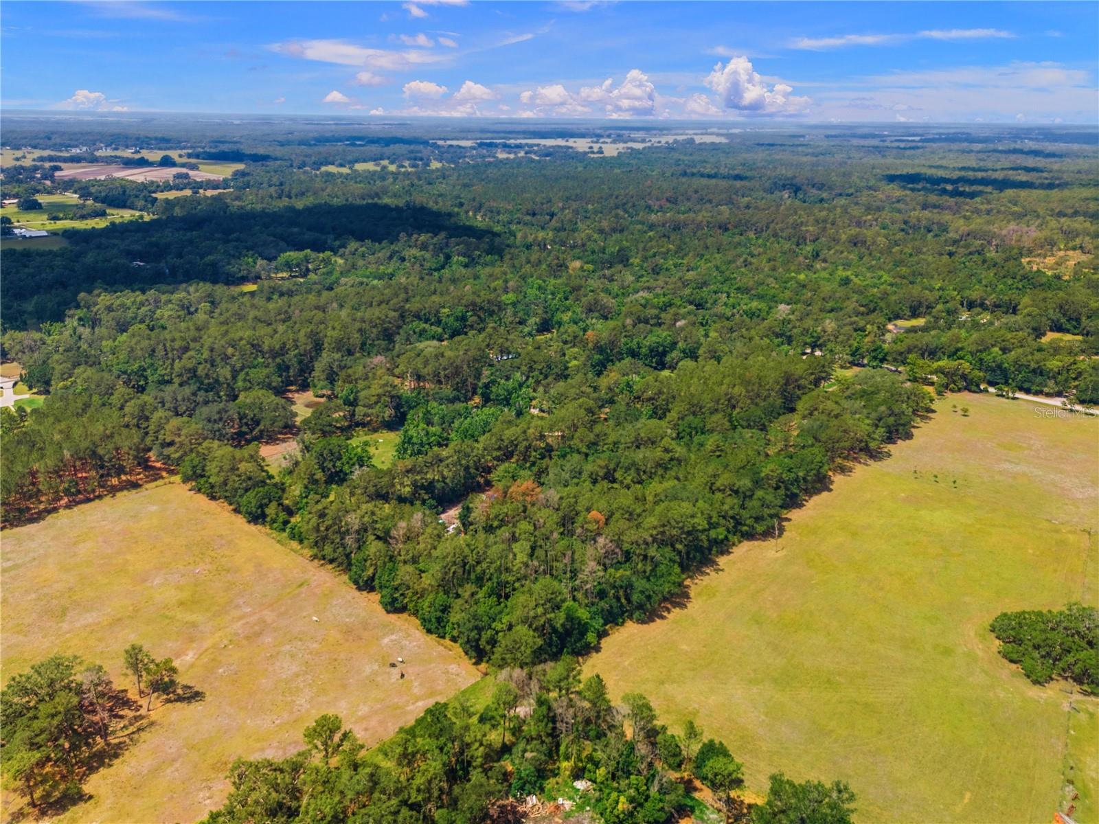 1074 CULBREATH RD, BROOKSVILLE, FL, 34602