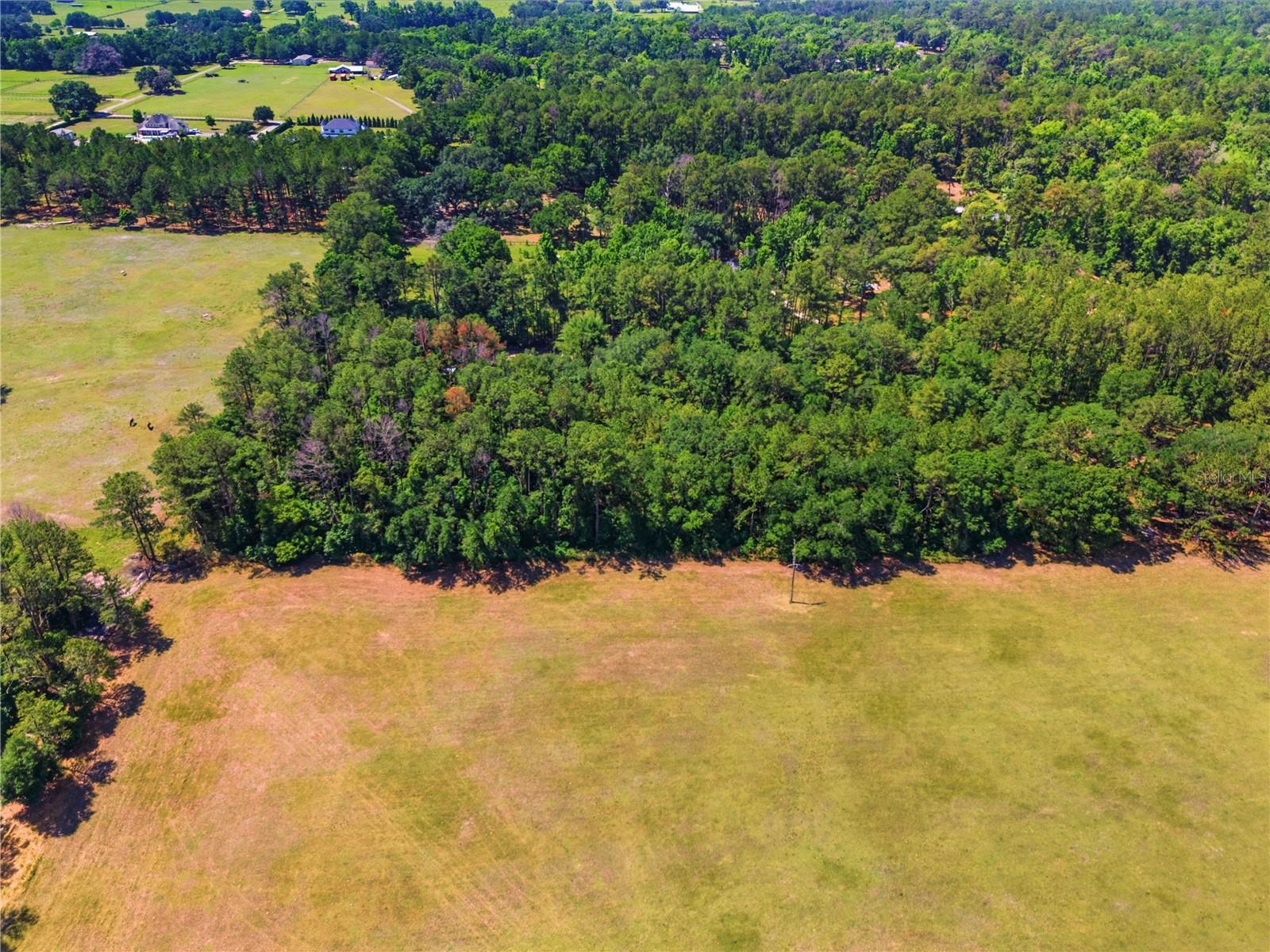 1074 CULBREATH RD, BROOKSVILLE, FL, 34602