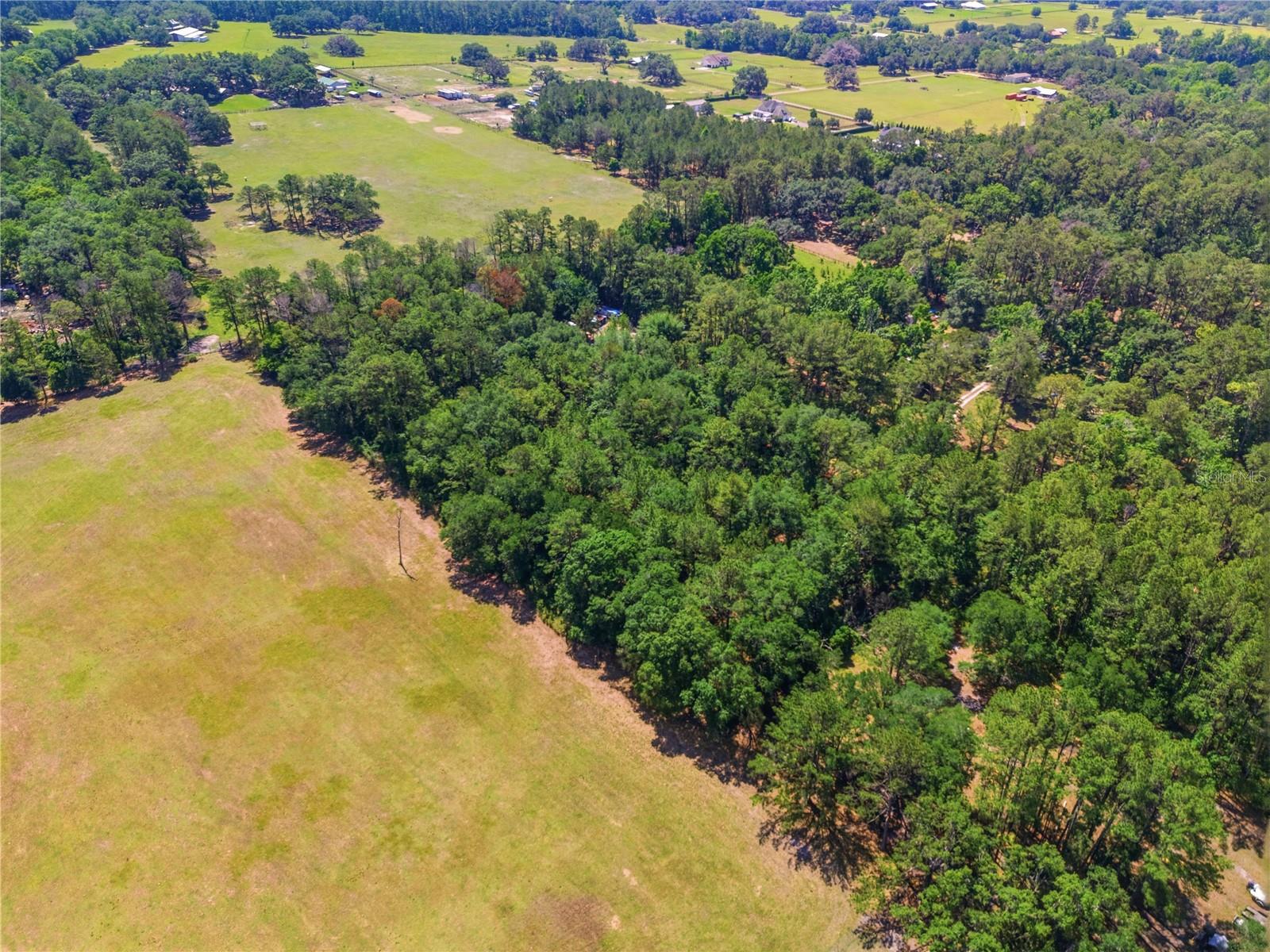 1074 CULBREATH RD, BROOKSVILLE, FL, 34602