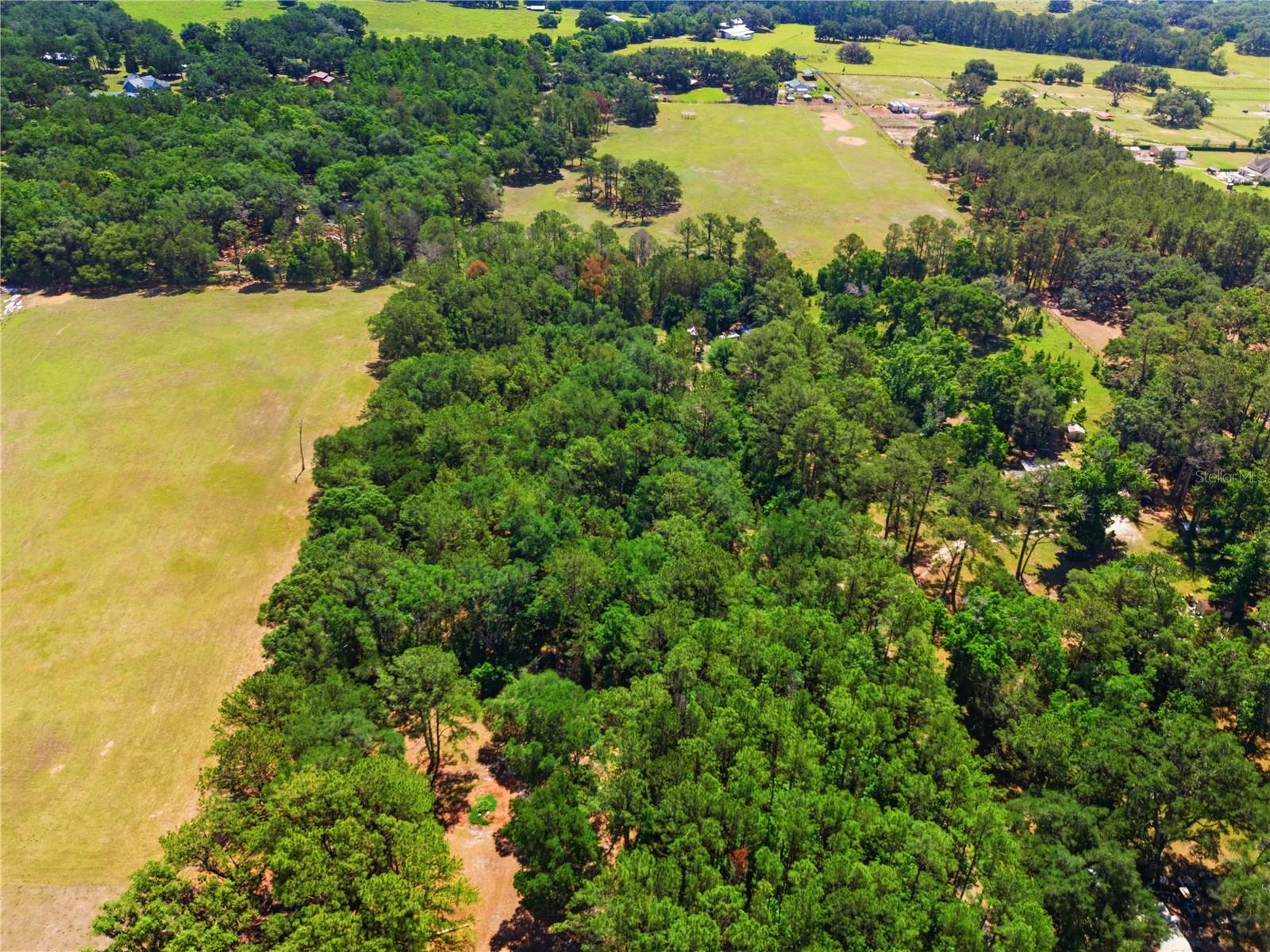 1074 CULBREATH RD, BROOKSVILLE, FL, 34602