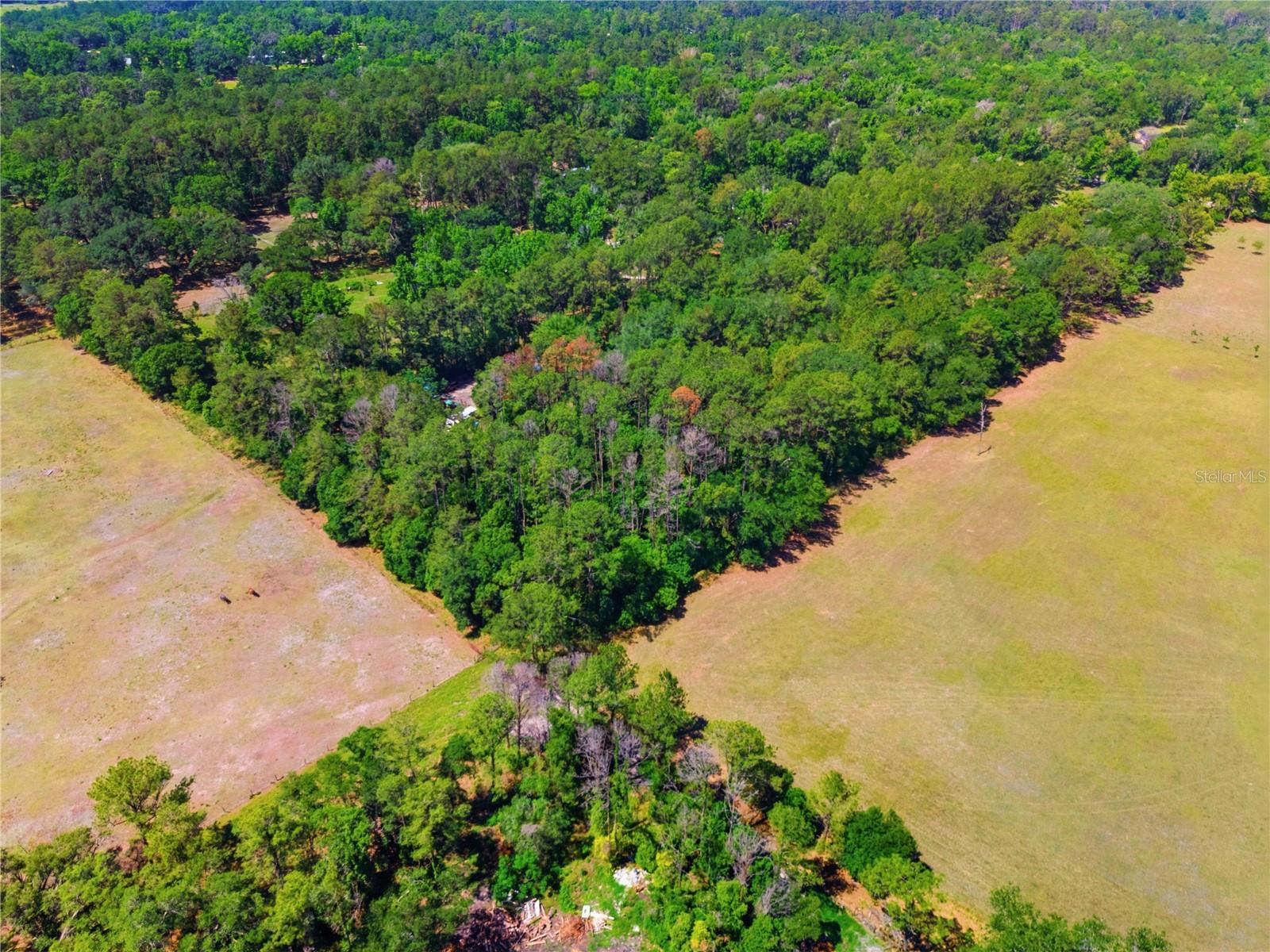 1074 CULBREATH RD, BROOKSVILLE, FL, 34602