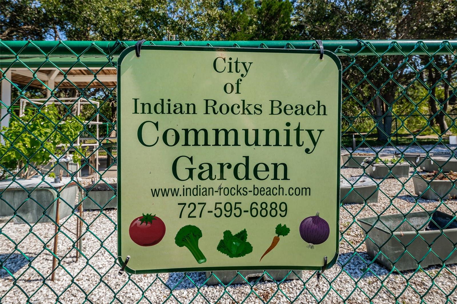516 HARBOR DR N, INDIAN ROCKS BEACH, FL, 33785