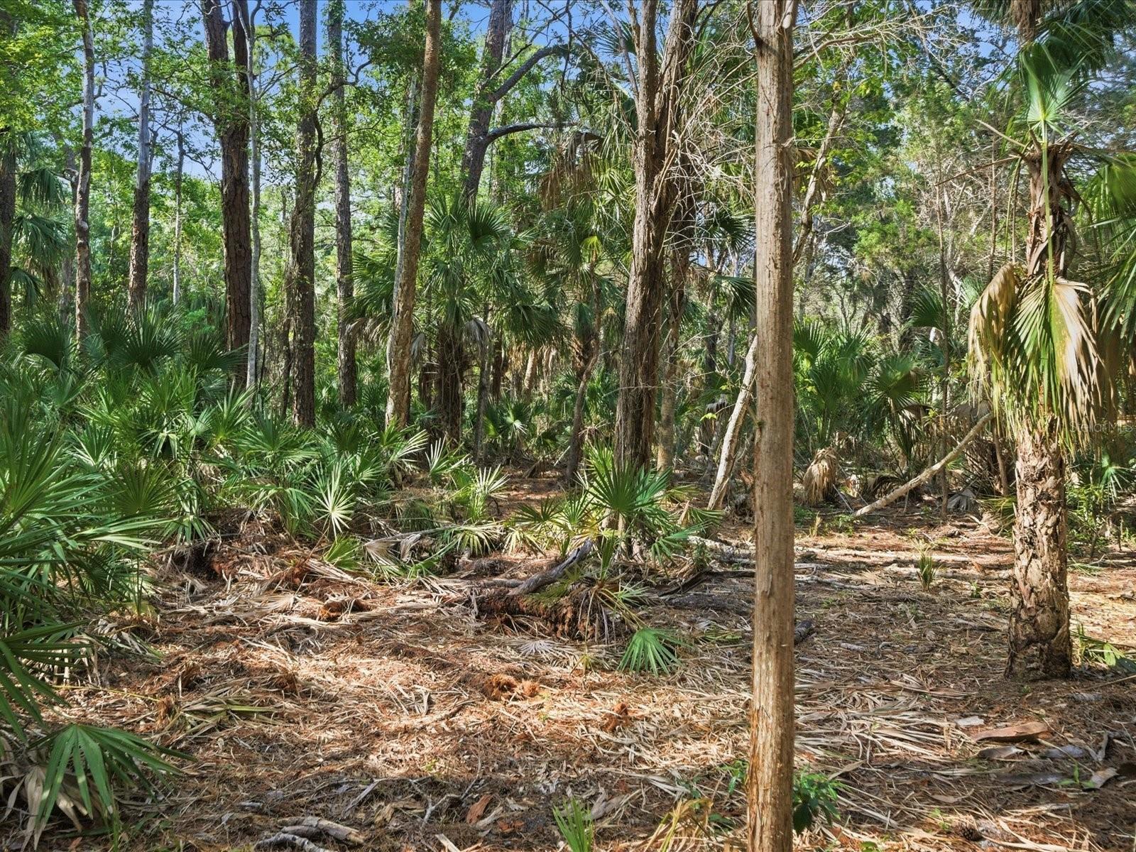 0 OSOWAW, SPRING HILL, FL, 34607