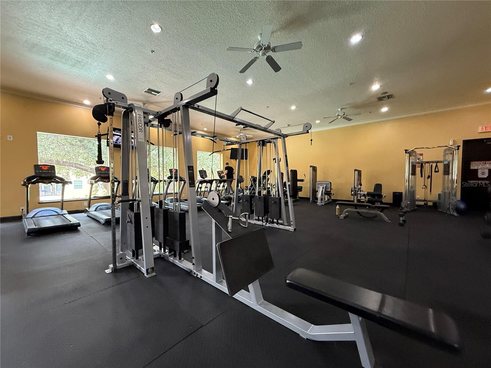 1910 E PALM AVE #11321, TAMPA, FL, 33605
