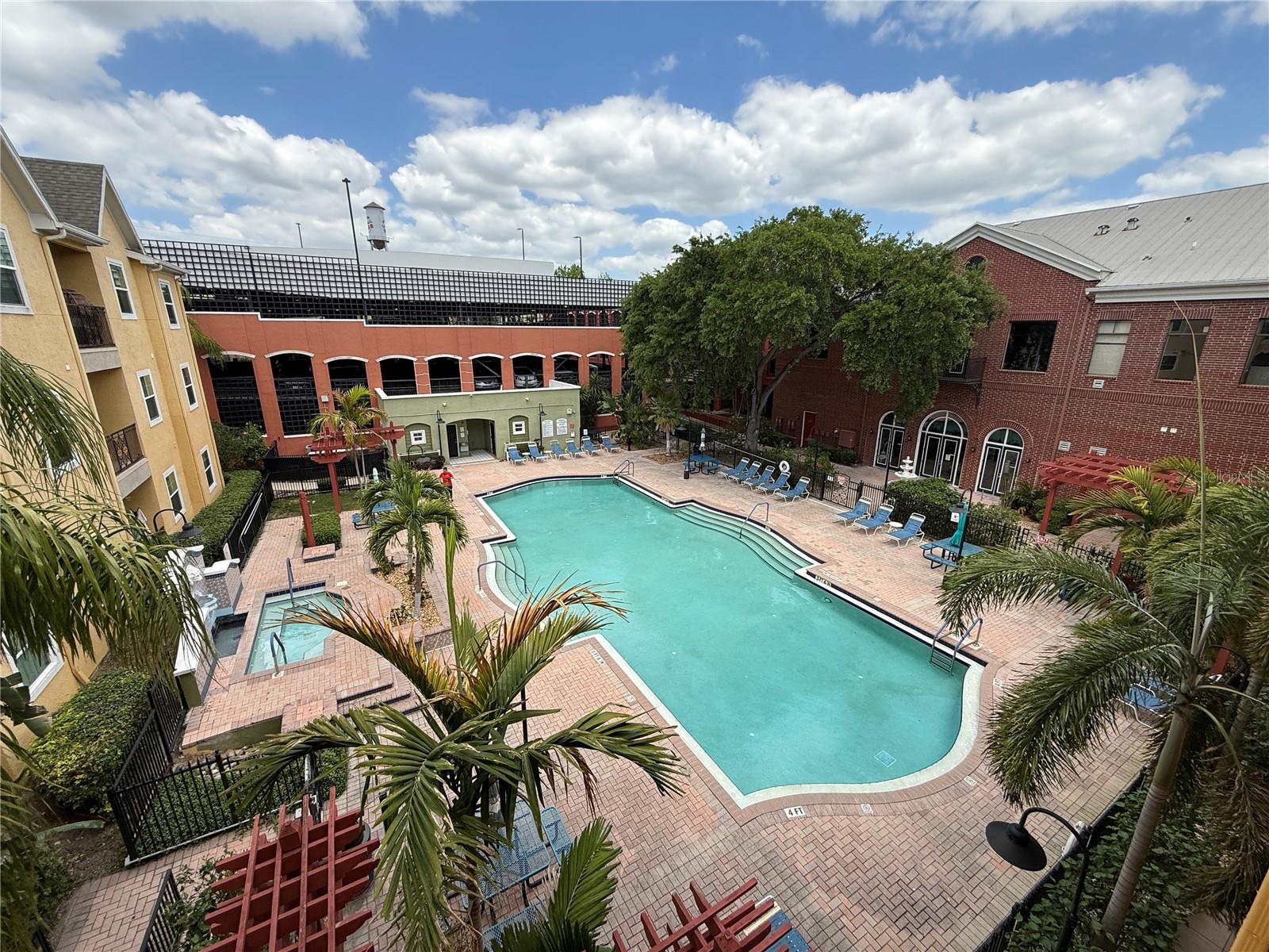 1910 E PALM AVE #11321, TAMPA, FL, 33605