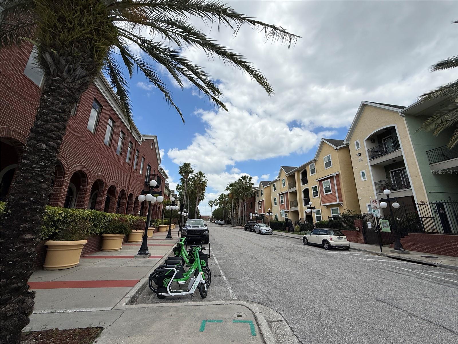 1910 E PALM AVE #11321, TAMPA, FL, 33605