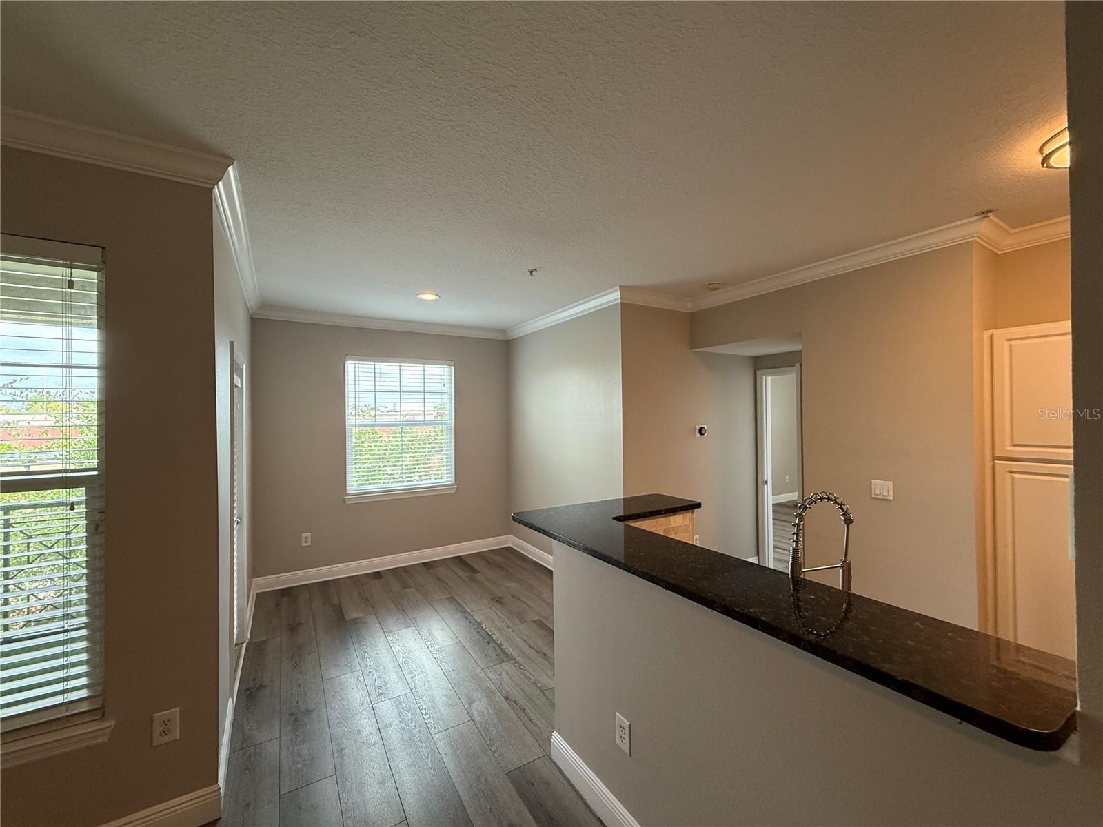 1910 E PALM AVE #11321, TAMPA, FL, 33605