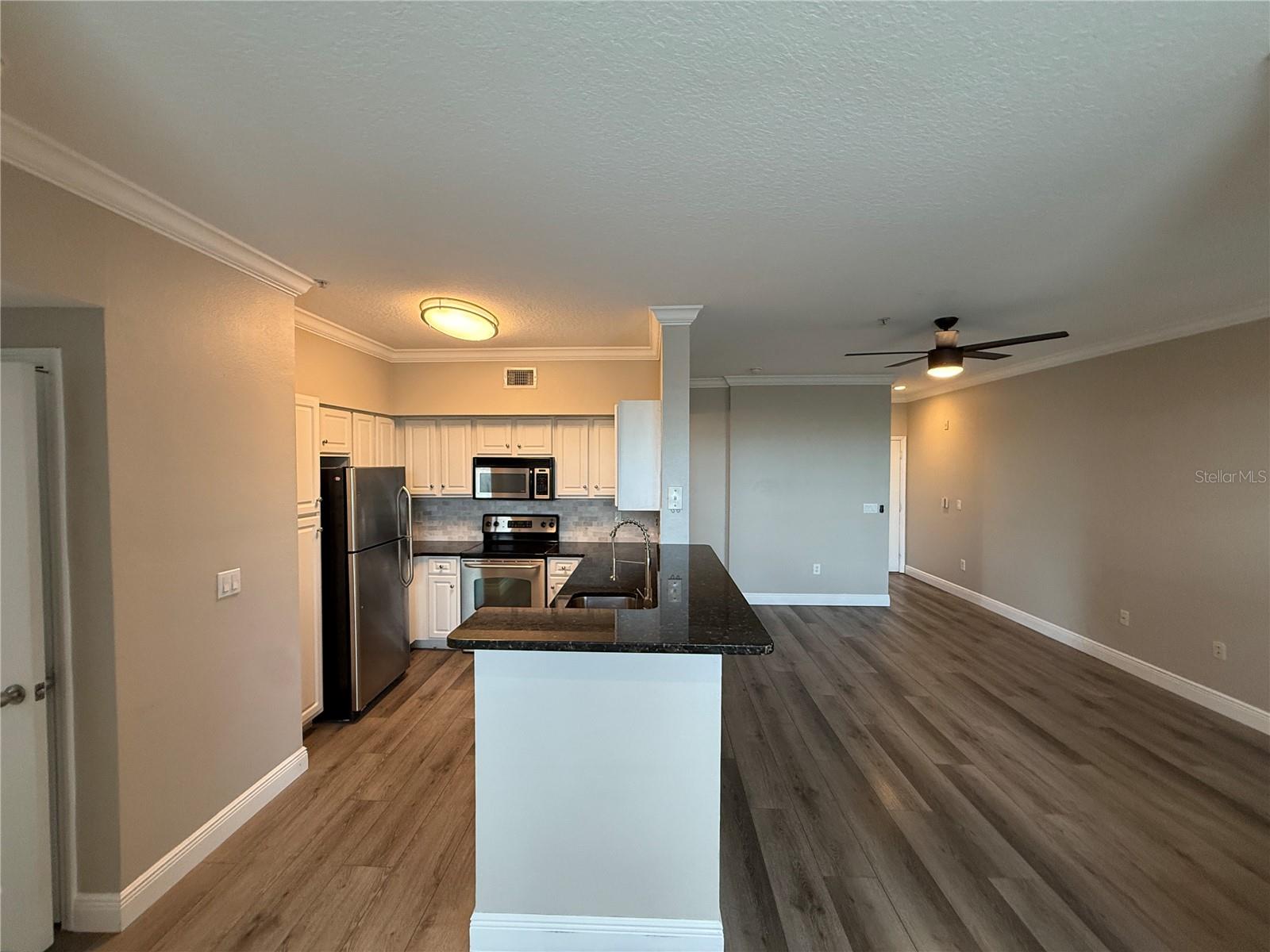 1910 E PALM AVE #11321, TAMPA, FL, 33605