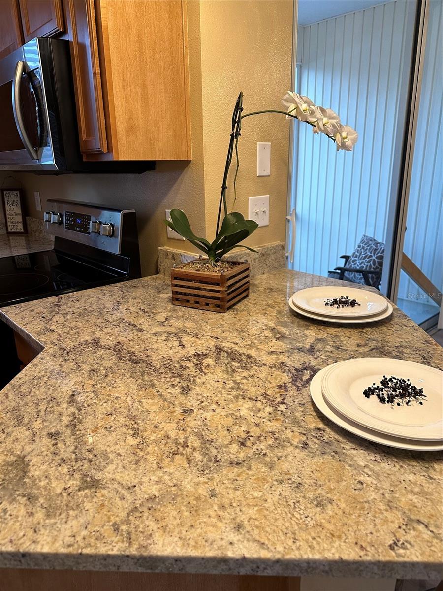 12276 COUNTRY WHITE CIR, TAMPA, FL, 33635