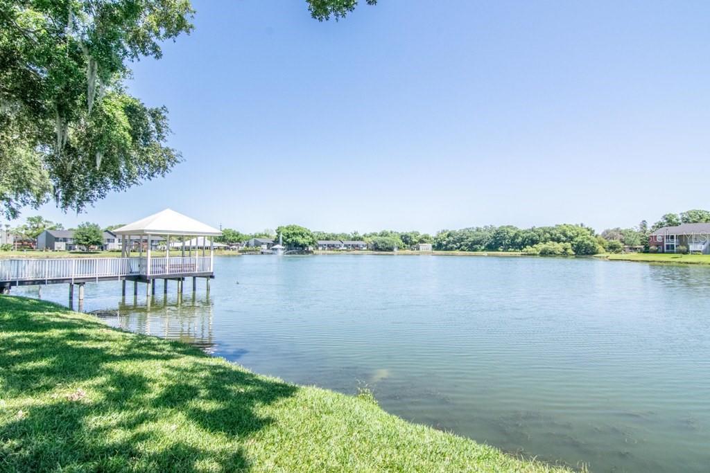 214 LAKE PARSONS GRN #208, BRANDON, FL, 33511