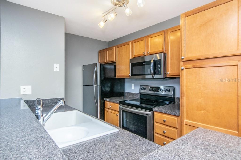214 LAKE PARSONS GRN #208, BRANDON, FL, 33511