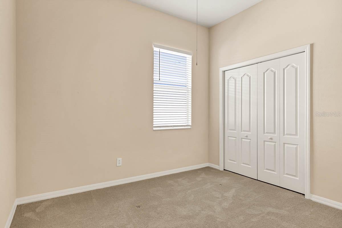 16326 BRIDGELAWN AVE, LITHIA, FL, 33547