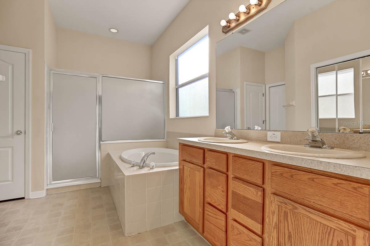 16326 BRIDGELAWN AVE, LITHIA, FL, 33547