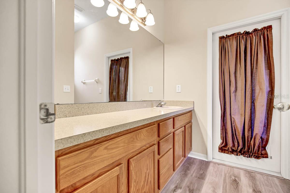 16326 BRIDGELAWN AVE, LITHIA, FL, 33547
