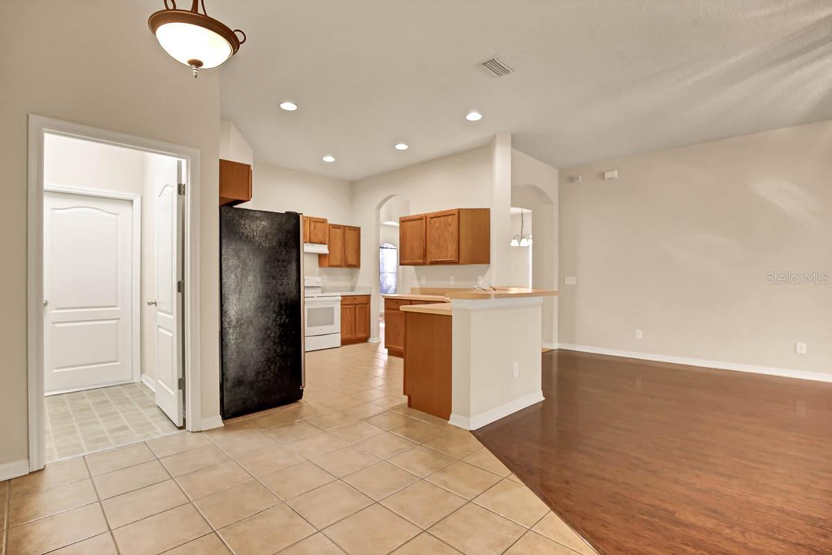 16326 BRIDGELAWN AVE, LITHIA, FL, 33547