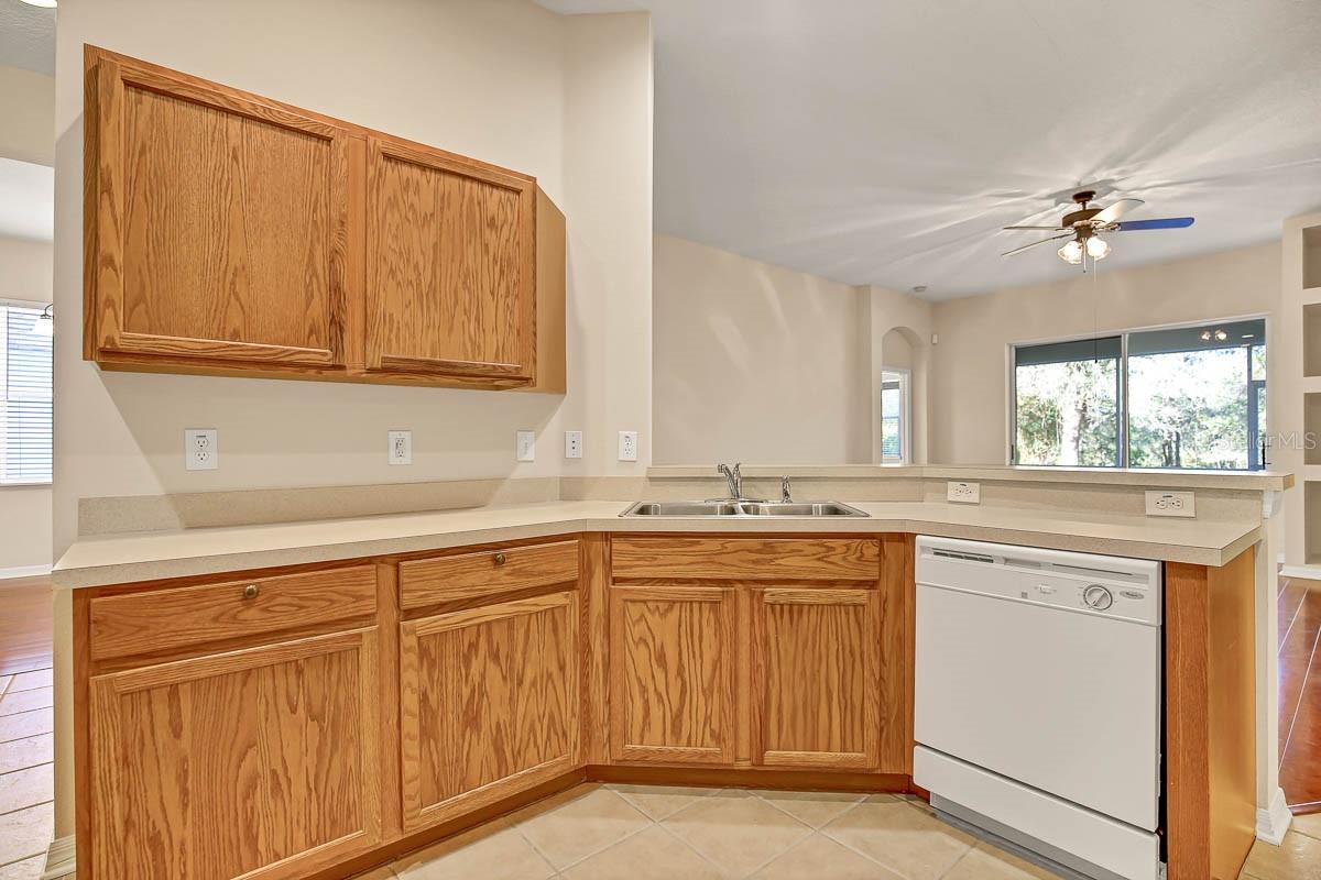 16326 BRIDGELAWN AVE, LITHIA, FL, 33547