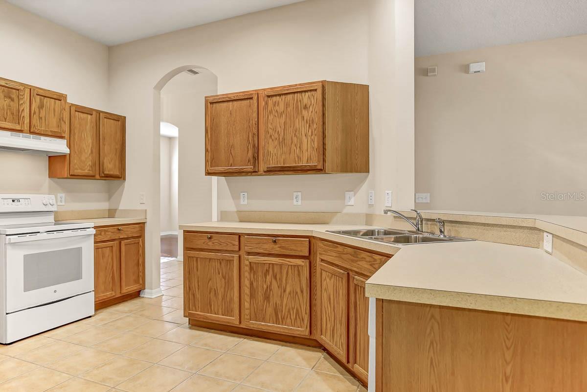 16326 BRIDGELAWN AVE, LITHIA, FL, 33547