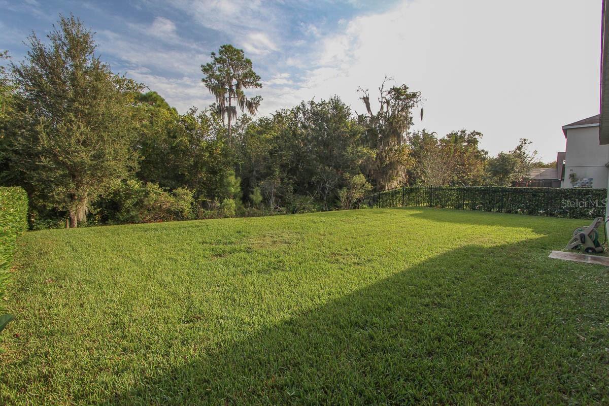 16326 BRIDGELAWN AVE, LITHIA, FL, 33547