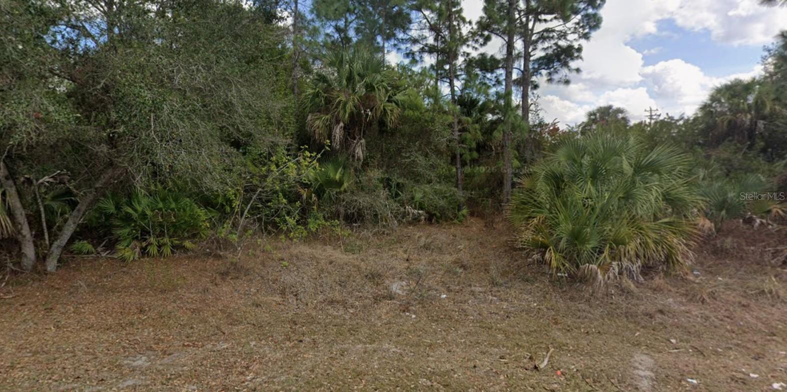 602 JACKSON AVE, LEHIGH ACRES, FL, 33972