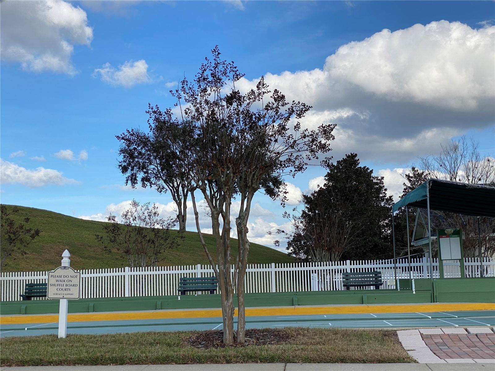785 SUMMIT GREENS BLVD, CLERMONT, FL, 34711