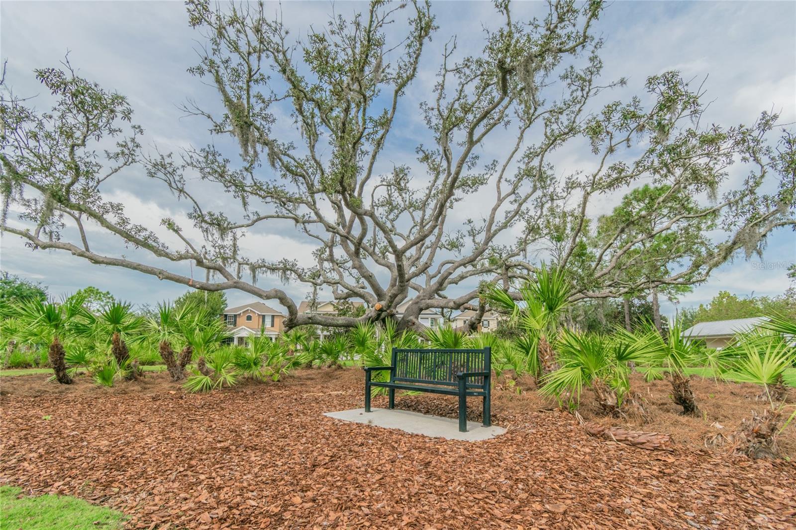 10426 MOUNT DORA ST, NEW PORT RICHEY, FL, 34655