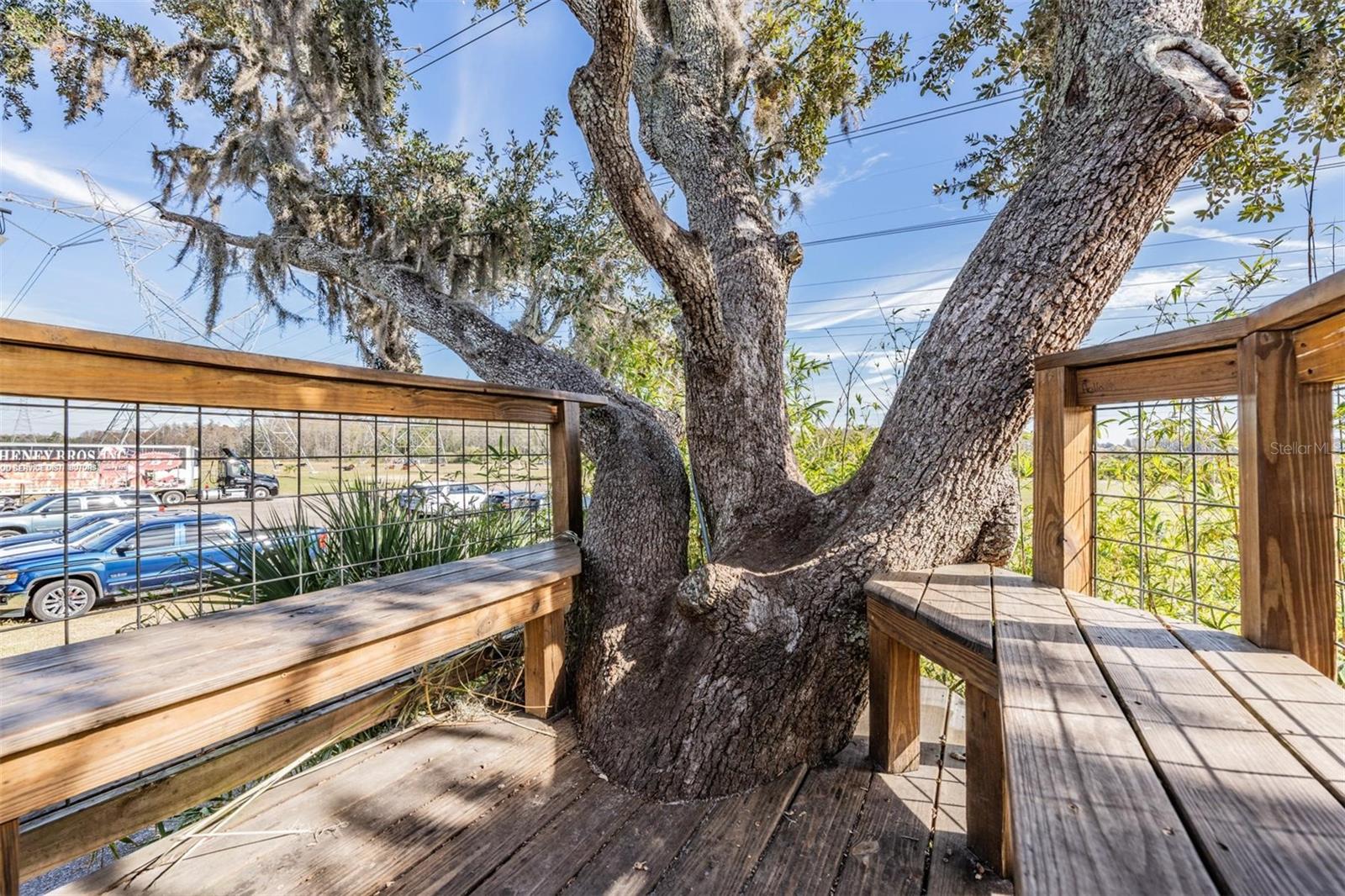 10426 MOUNT DORA ST, NEW PORT RICHEY, FL, 34655