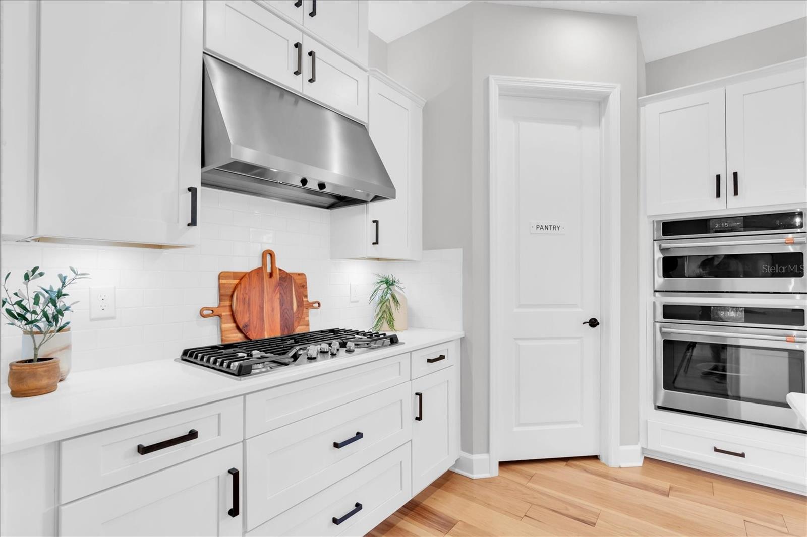 3839 BARBOUR TRL, ODESSA, FL, 33556